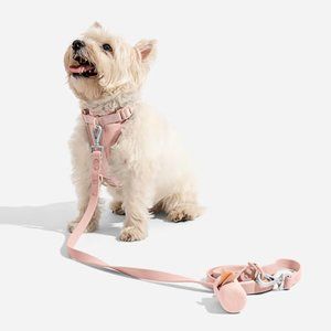 Gently Used Petco's Wild One Harness, Leash & Poop Bag
